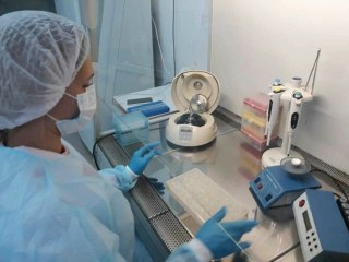 Ульяновская область: Птичий грипп не выявлен среди городских птиц