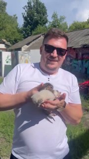 Котята ищут добрые руки: посетите Дом молодых