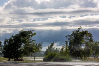 Прогноз погоды: дождь и грозы с температурой до +27°C